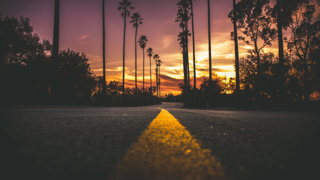 Serene LA Sunset Wallpaper: Scenic Road & Iconic Palm Trees