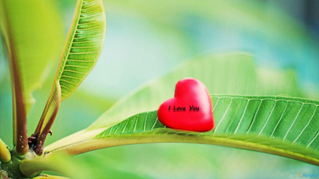 Heartfelt Affection: A Romantic Red Heart on a Vivid Green Leaf - Nature Love Background Wallpaper