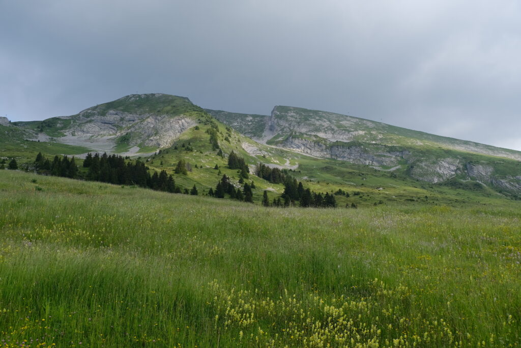 Serene lush green field with wildflowers grassy slopes and rugged mountains under cloudy sky wallpaper