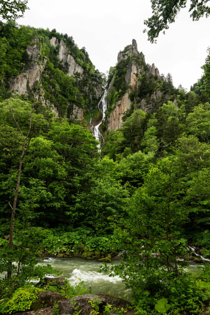 Lush green forest with towering trees rugged rocks cascading waterfall and vibrant river scenery Wallpaper