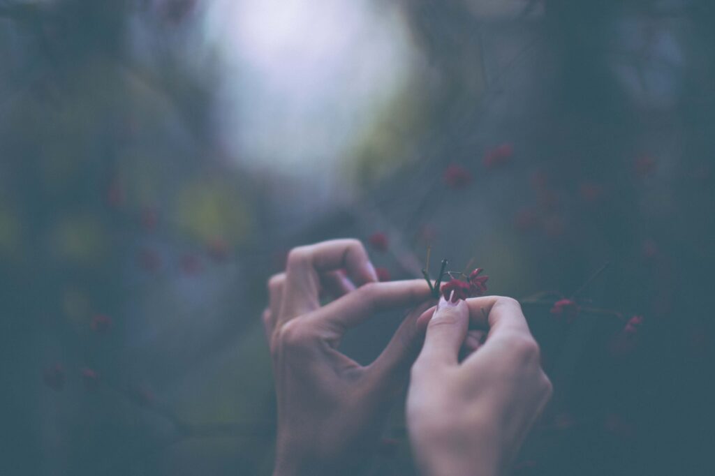 Dreamy Macro Wallpaper: Delicate Hands & Vibrant Flower Touch