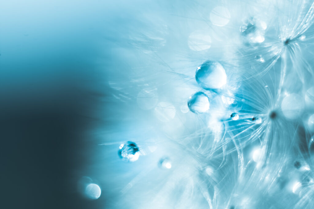 Serene Macro Water Droplets on Fluffy Fibers - Dreamy Wallpaper Background
