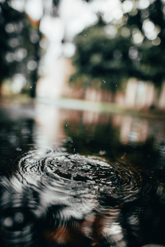 Serene Macro Wallpaper: Water Ripples & Drops - Peaceful Nature Background