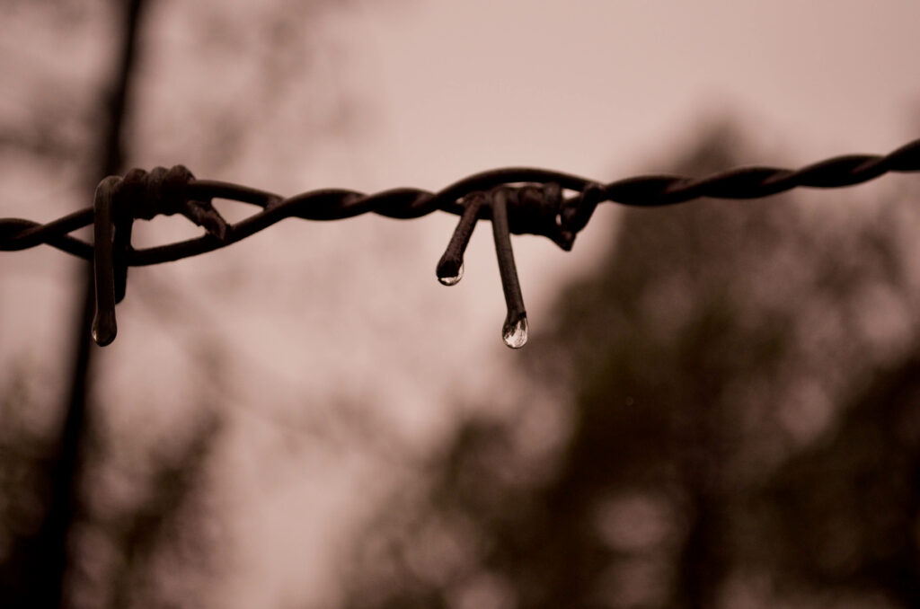 Serene Water Droplets on Wire - Macro Wallpaper Background