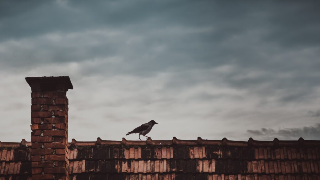 Solitary Magpie on Rustic Rooftop: Serene Cloudy Sky Background Wallpaper