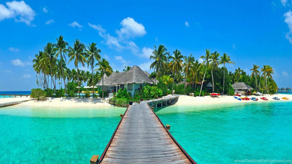 Serene Maldives Beach Wallpaper: Turquoise Waters & Lush Palms