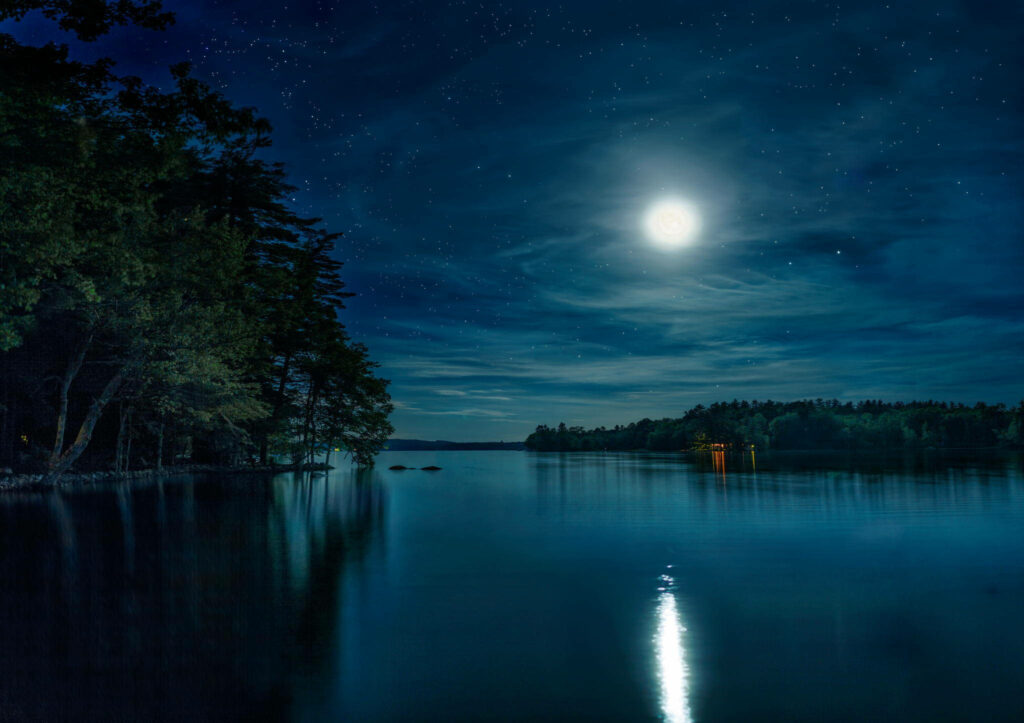 Serene Mangrove Forest Wallpaper: Moonlit Reflection & Starry Sky
