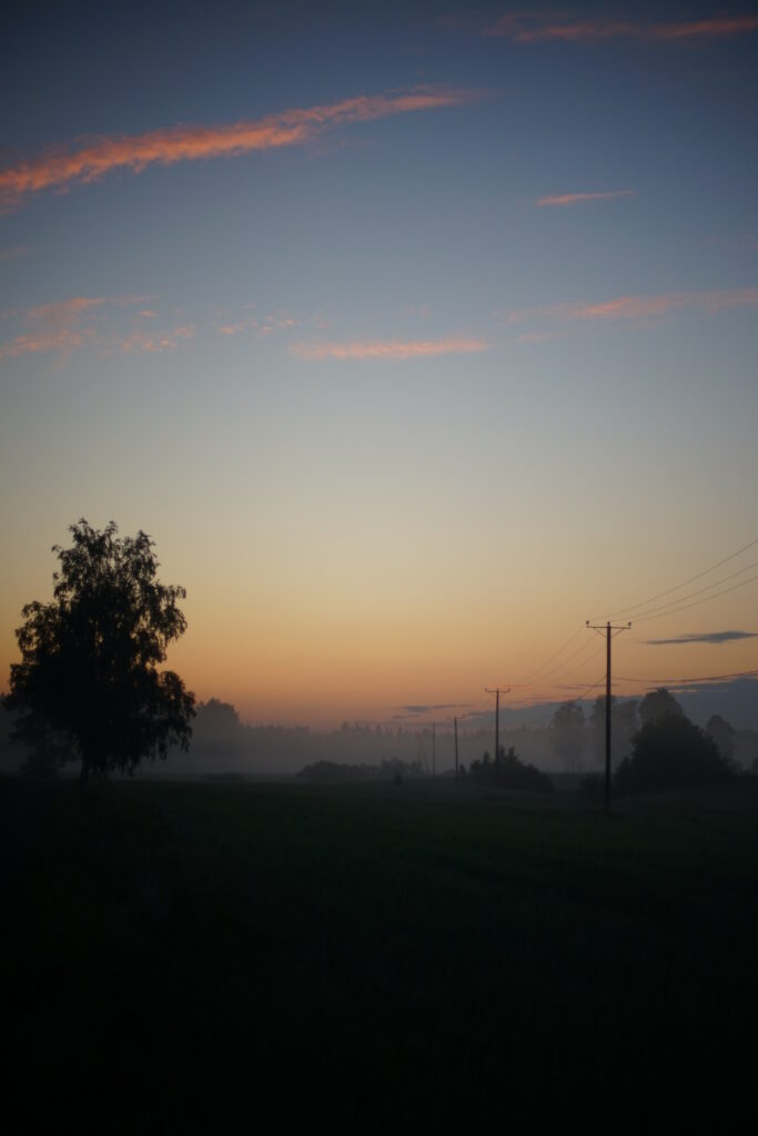 Serene dawn meadow with fog silhouetted trees power poles and pastel sky peaceful wallpaper