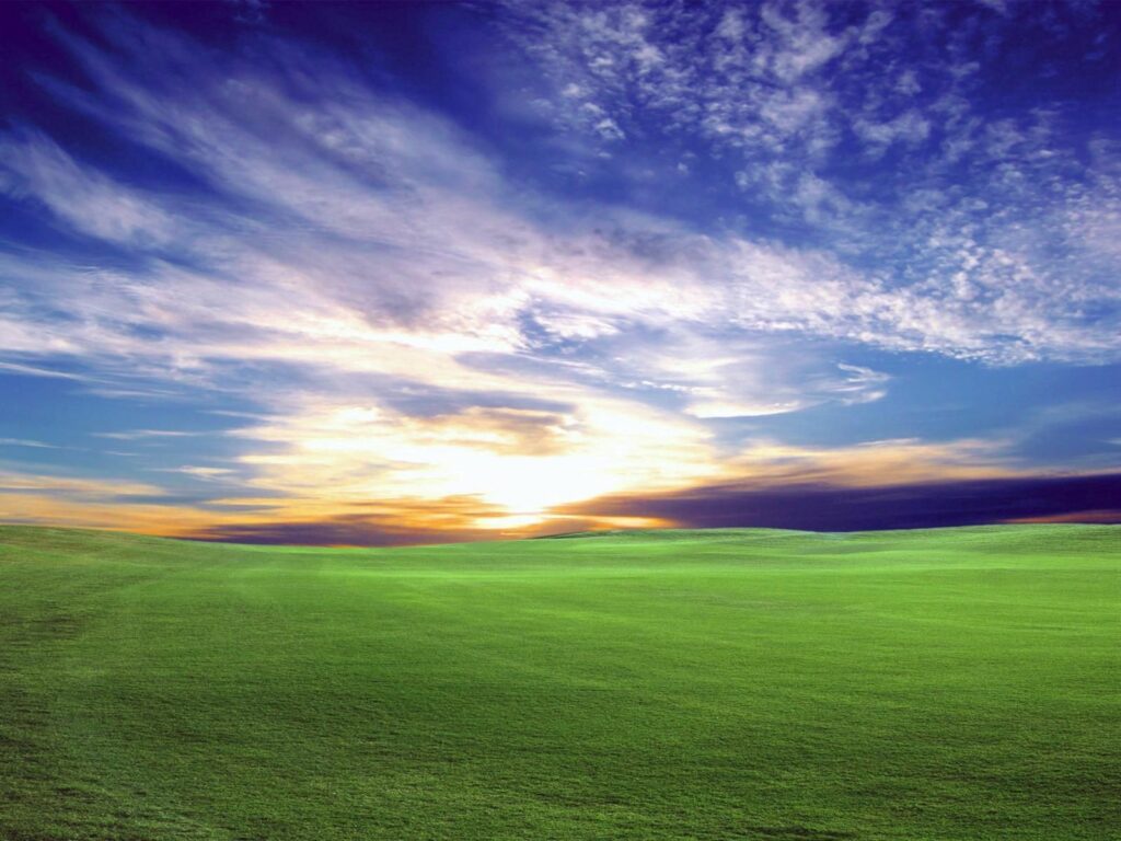 Serene sunset meadow wallpaper with green field and dramatic golden sky for calming backgrounds