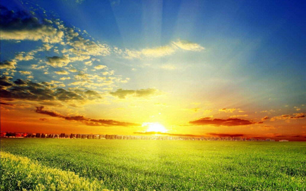Serene Meadow Wallpaper: Golden Rays & Vibrant Horizon Background