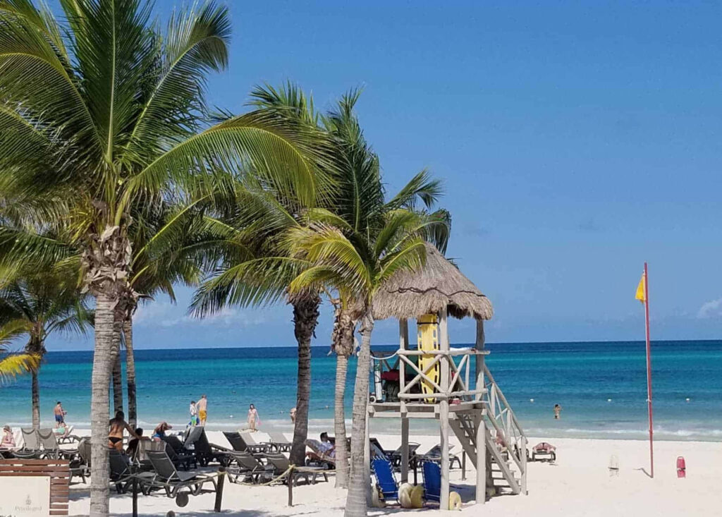 Serene Mexican Beach Wallpaper: Palm Trees & Turquoise Waters