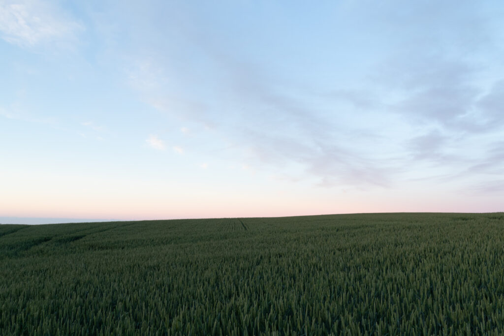Minimalist wallpaper of green field under soft twilight sky with gentle gradient hues and clouds