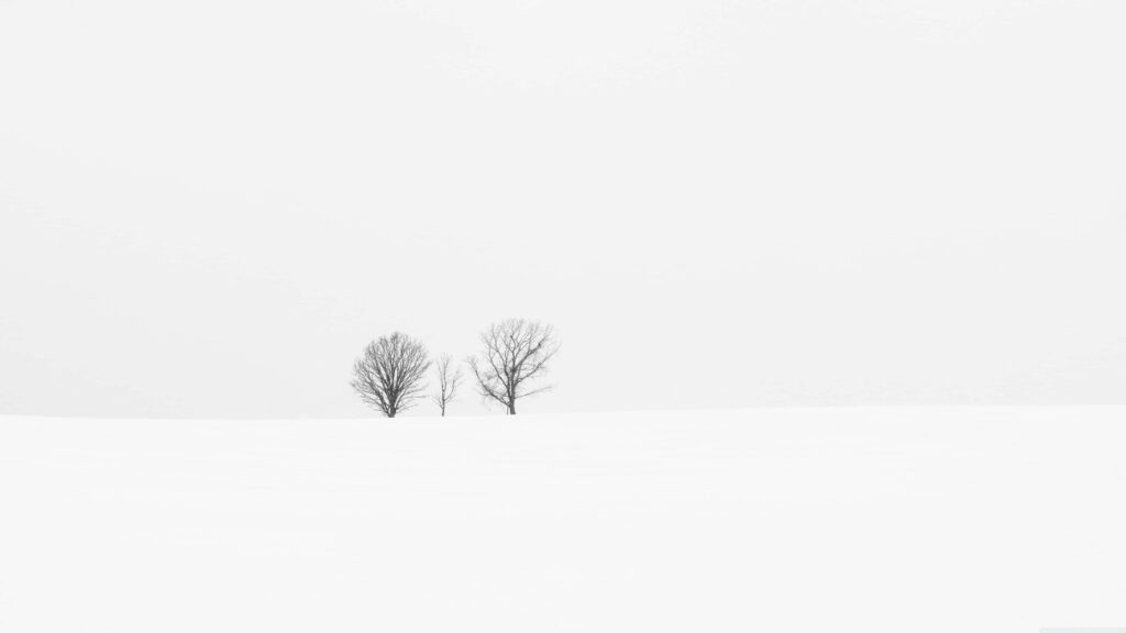 Tranquil 4K Landscape: Barren Trees in Snowy Minimalist Field Wallpaper