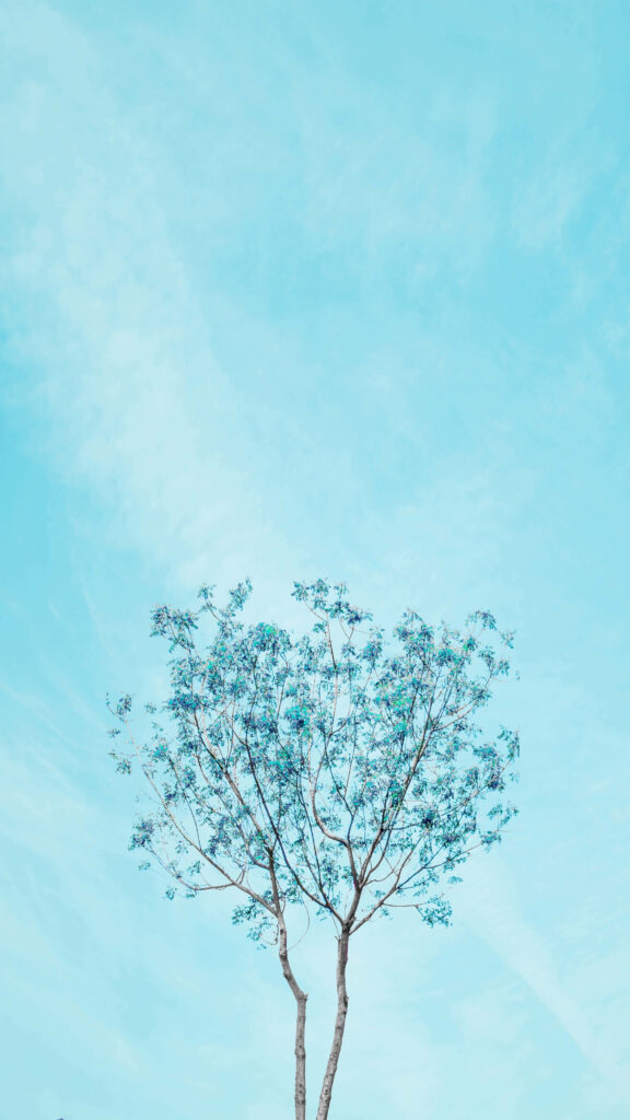 Serene Sky-Blue Wallpaper: Minimalist Tree Design for Calm Spaces