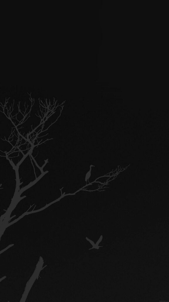 Calm Minimalist Wallpaper: Silhouetted Tree & Birds on Dark Background