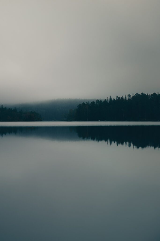 Tranquil foggy lake reflecting dense forest serene nature wallpaper with cool muted tones