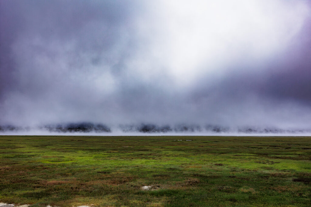 Serene foggy green grass field under moody sky peaceful minimalist nature wallpaper background