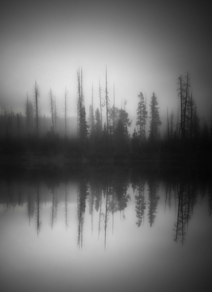Tranquil Monochrome Lake Wallpaper with Dreamy Fisheye Reflection