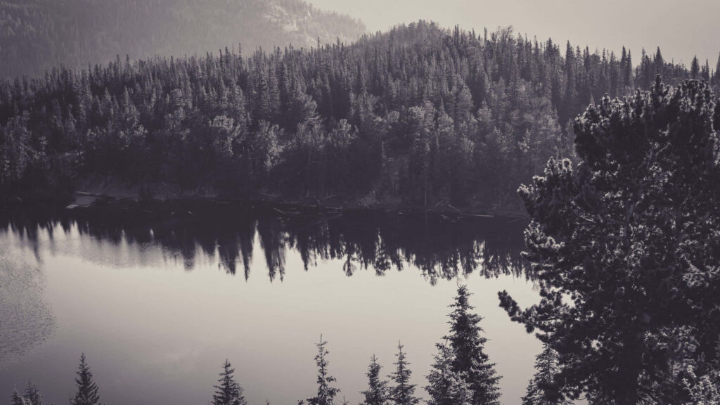 Tranquil Monochrome Forest and Lake Wallpaper - Serene Nature Background