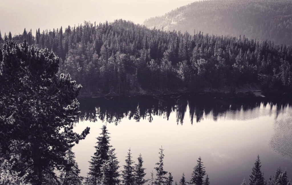 Serene Monochrome Lake Wallpaper: Tranquil Nature Background