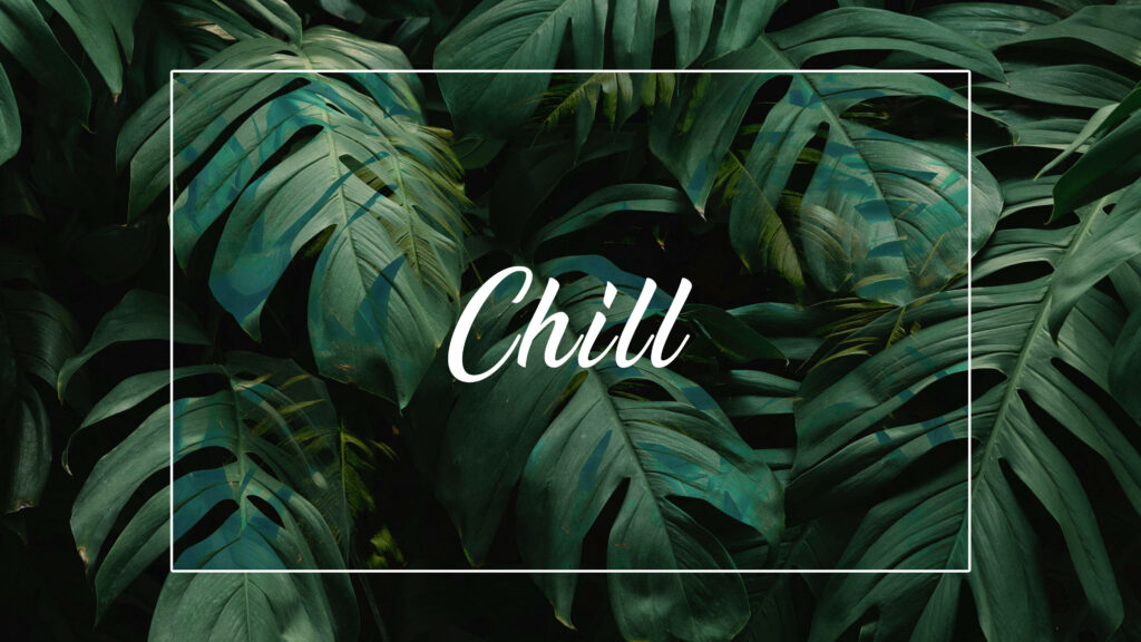 Monstera Serenity: A Chill Minimalist Desktop Wallpaper
