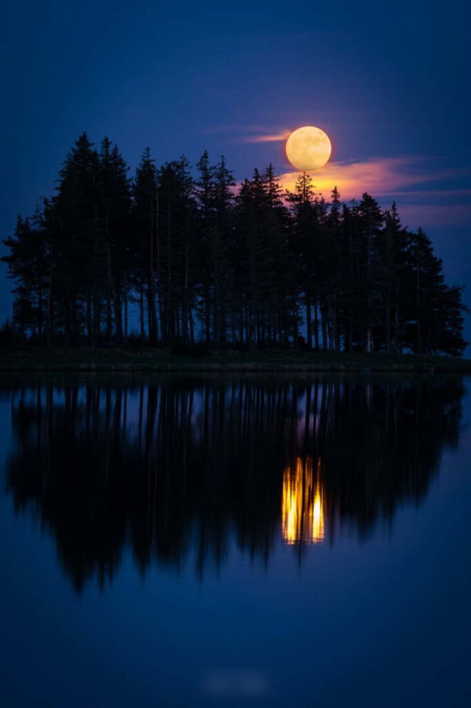 Serene Moonlit Lake Wallpaper: Tall Trees & Deep Blue Sky Background