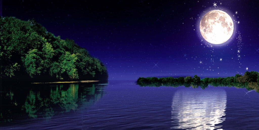 Serene Moonlit Night: Reflecting Waters & Lush Greenery Wallpaper