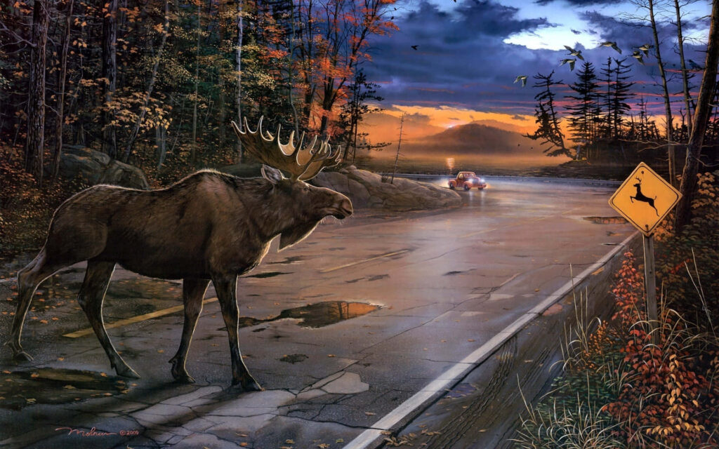 Serene Moose on Autumn Road - Captivating Nature Wallpaper
