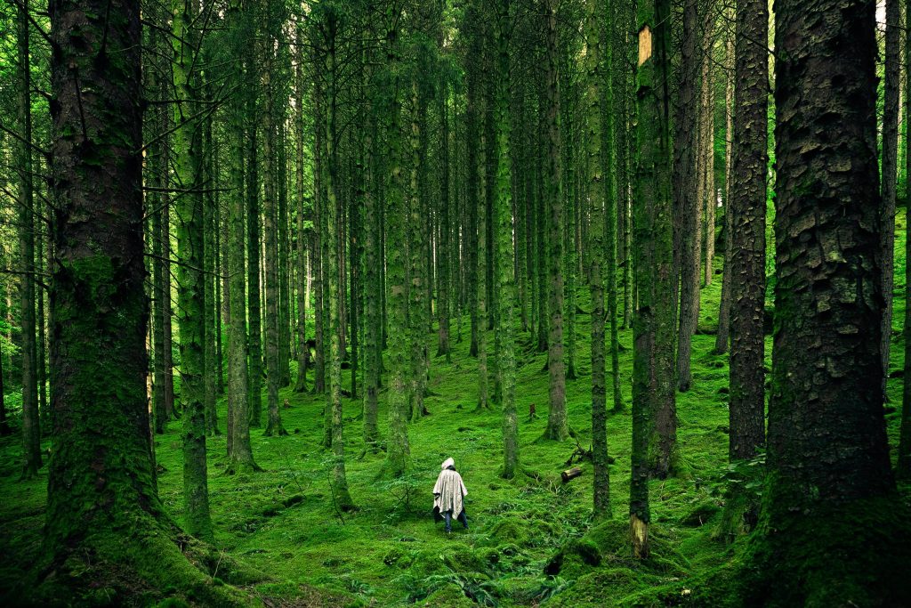 Lone hooded figure in dense green moss forest serene moody lighting desktop wallpaper background
