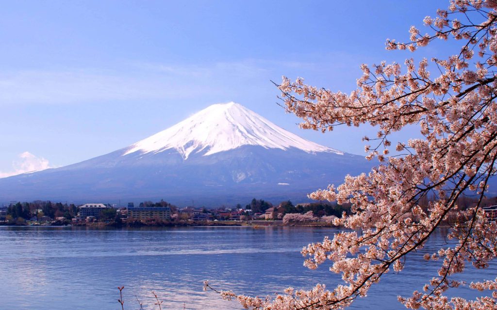 Mount Fuji snow-capped peak behind lake with blooming pink cherry blossoms in spring landscape Wallpaper