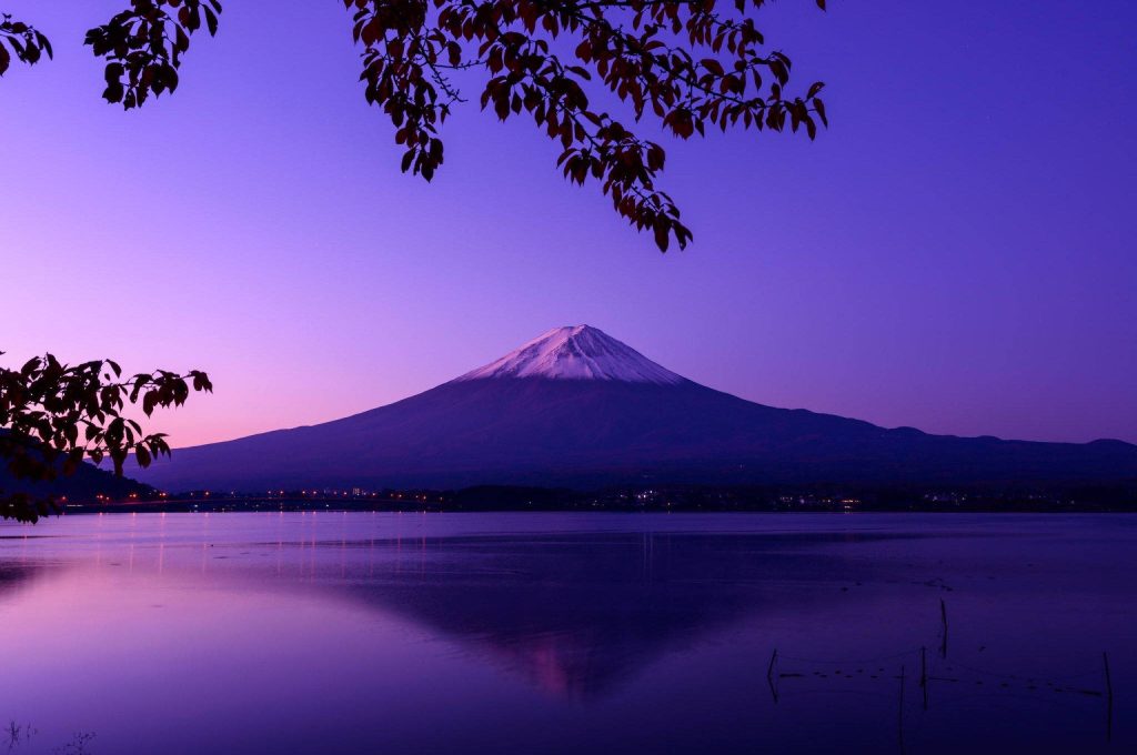 Mount Fuji snow-capped peak at twilight purple reflecting on calm lake framed by branches wallpaper
