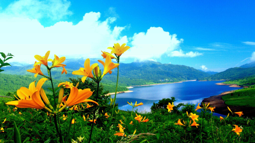 Mountain Majesty: A Stunning View of Orange and Yellow Blooms Reflecting on a Serene Blue Lake Wallpaper