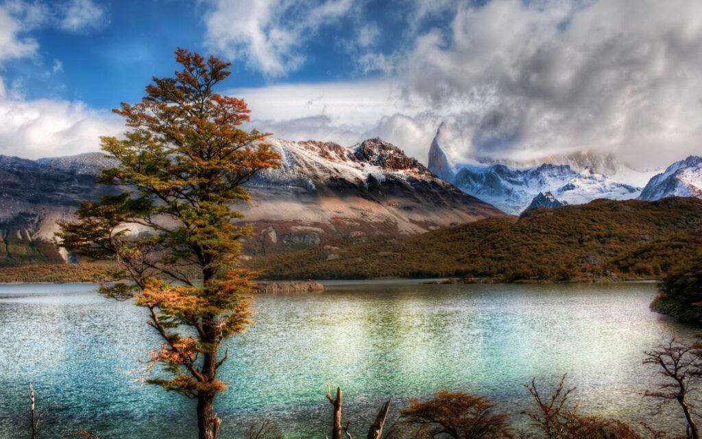 Serene mountain lake with clear water reflecting snow-capped peaks and autumn tree at shore Wallpaper