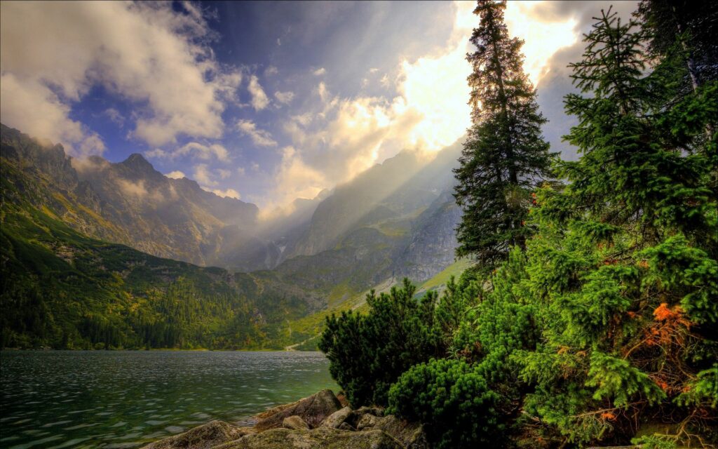 Serene mountain lake with lush forest and dramatic cloudy sky landscape wallpaper background