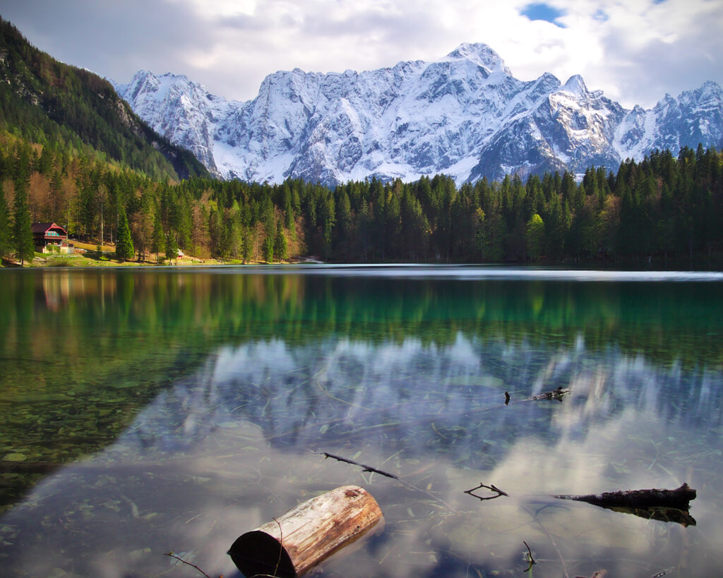 Serene lake reflecting lush forest and snow-capped mountains with a floating weathered log Wallpaper