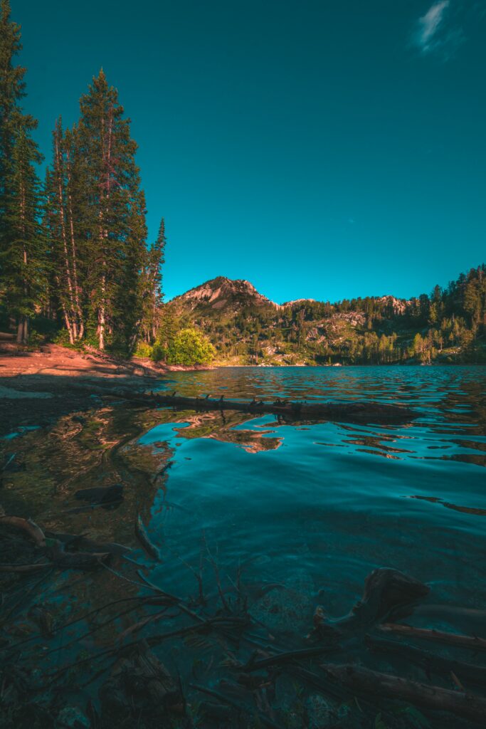 Tranquil lake reflecting tall spruce trees and majestic mountains under clear blue sky wallpaper