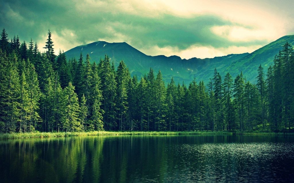 Mountain lake at dawn with pine forest reflection under dramatic cloudy sky serene wallpaper