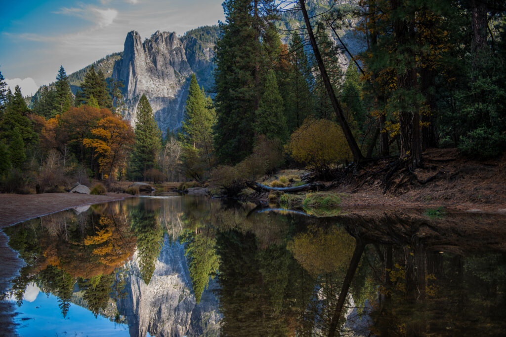 Serene mountain lake reflecting pine forest autumn colors under clear blue sky wallpaper background