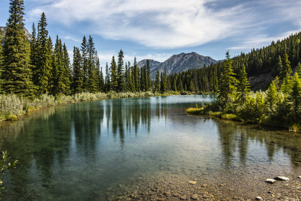 Serene mountain landscape with clear lake reflecting pine forest under vibrant blue sky wallpaper