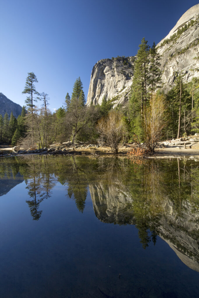 Serene mountain landscape with tall trees reflecting on clear lake under vivid blue sky wallpaper