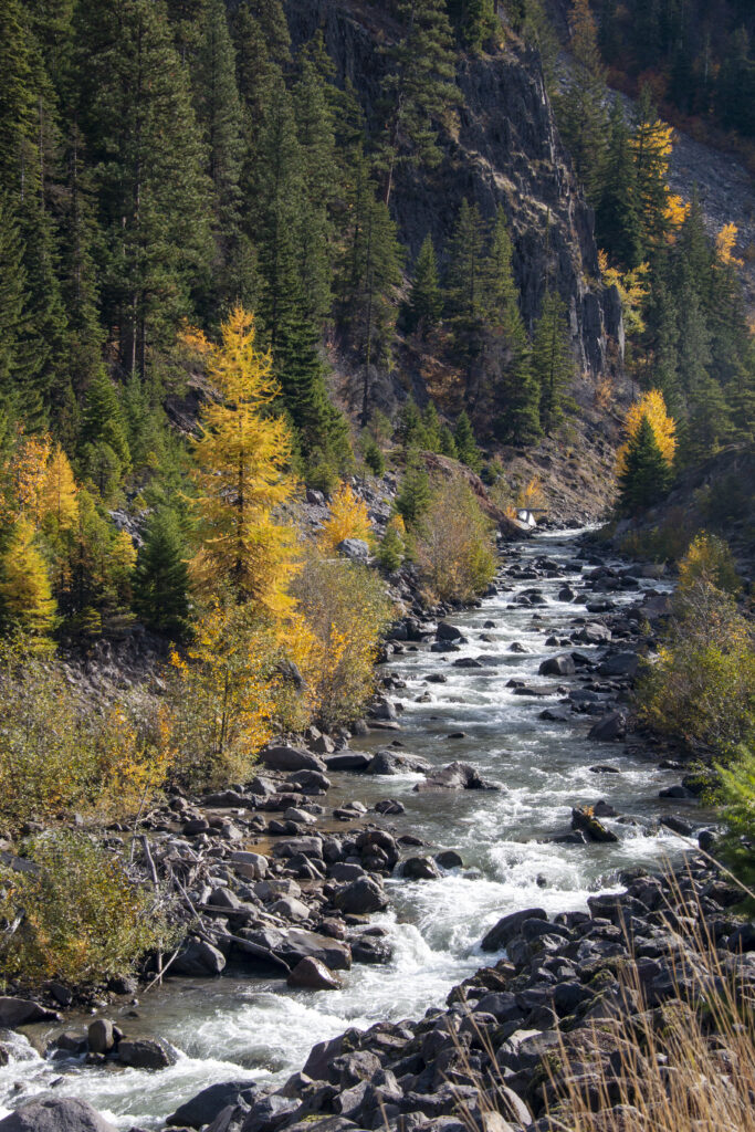 Serene mountain landscape with flowing river rocky terrain and vibrant autumn evergreen trees background Wallpaper