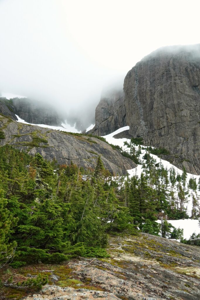 Breathtaking mountain landscape with rugged cliffs snow patches evergreen trees and misty sky Wallpaper