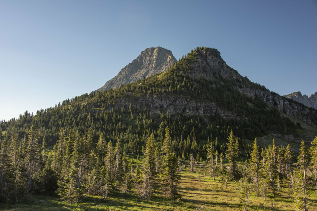 Serene mountain landscape with rocky peaks spruce trees and clear blue sky wallpaper background