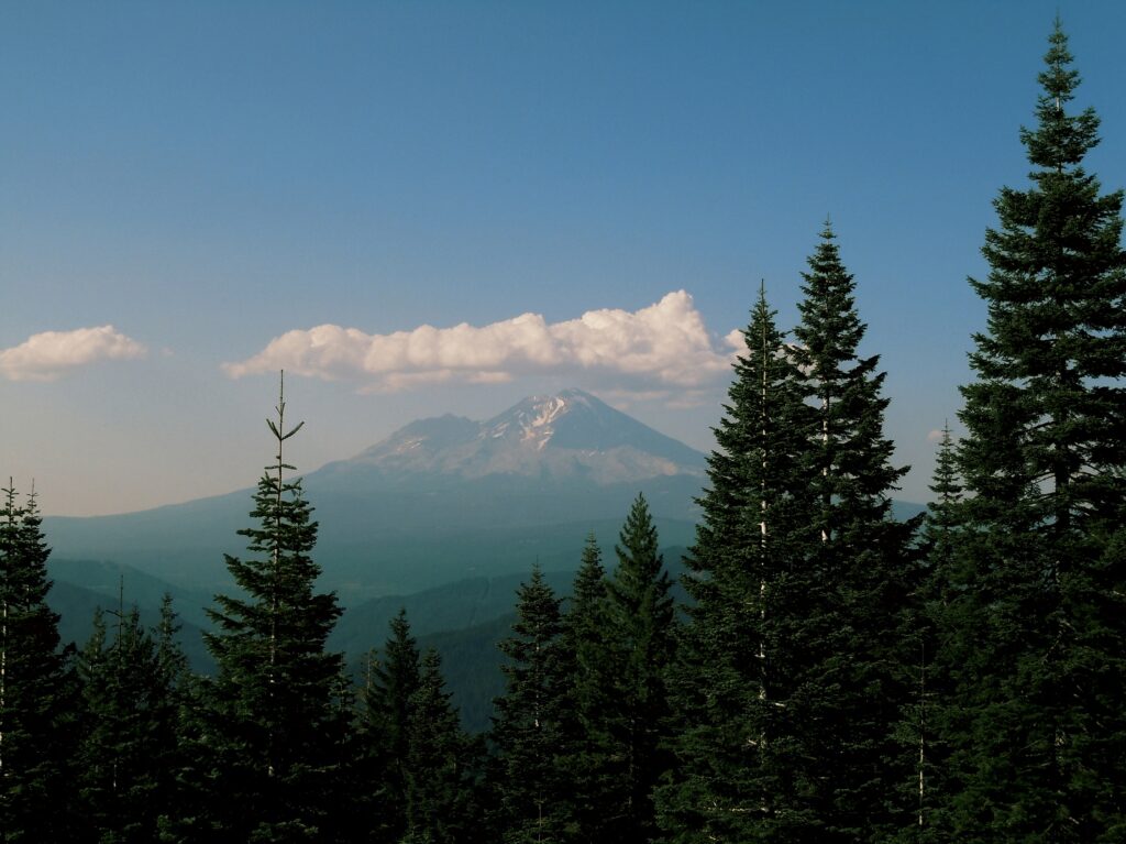 Serene mountain landscape with lush green trees snow-capped peak clear blue sky and clouds Wallpaper