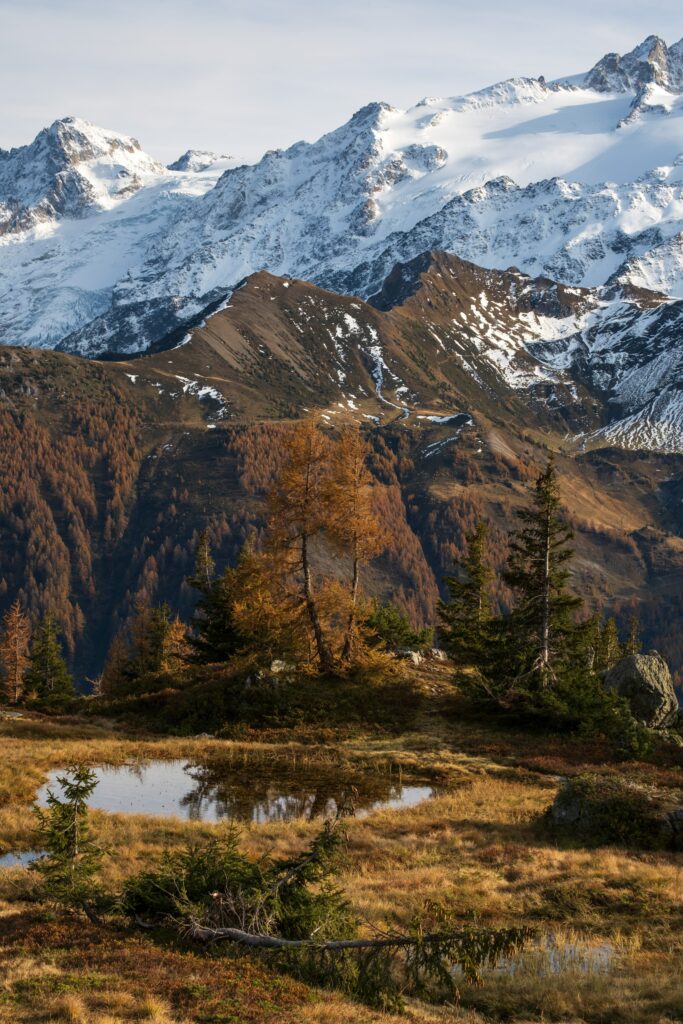 Snowy mountain peaks with autumn trees reflected in a calm puddle serene natural landscape wallpaper