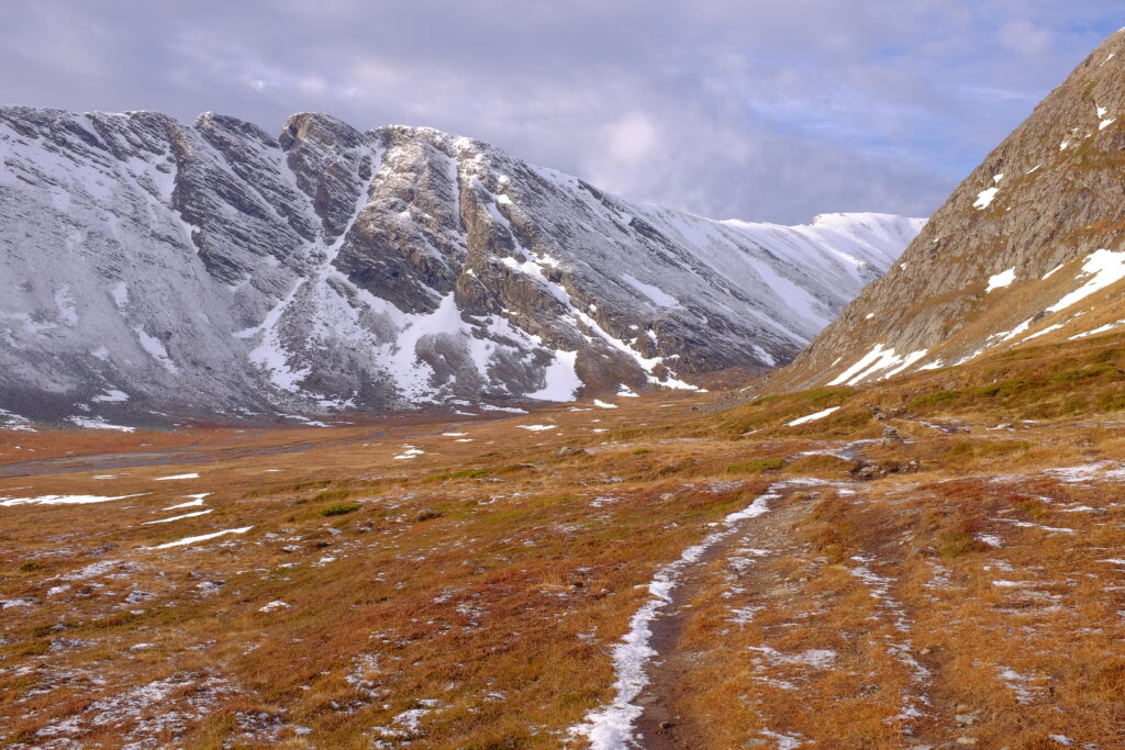 Snow-dusted rugged mountains framing a tranquil valley with earthy green and brown tones wallpaper