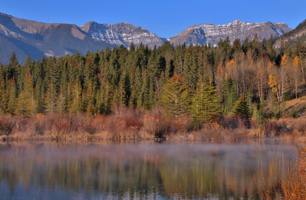 Serene mountain landscape with snowy peaks evergreen forest and autumn reflections on calm water Wallpaper