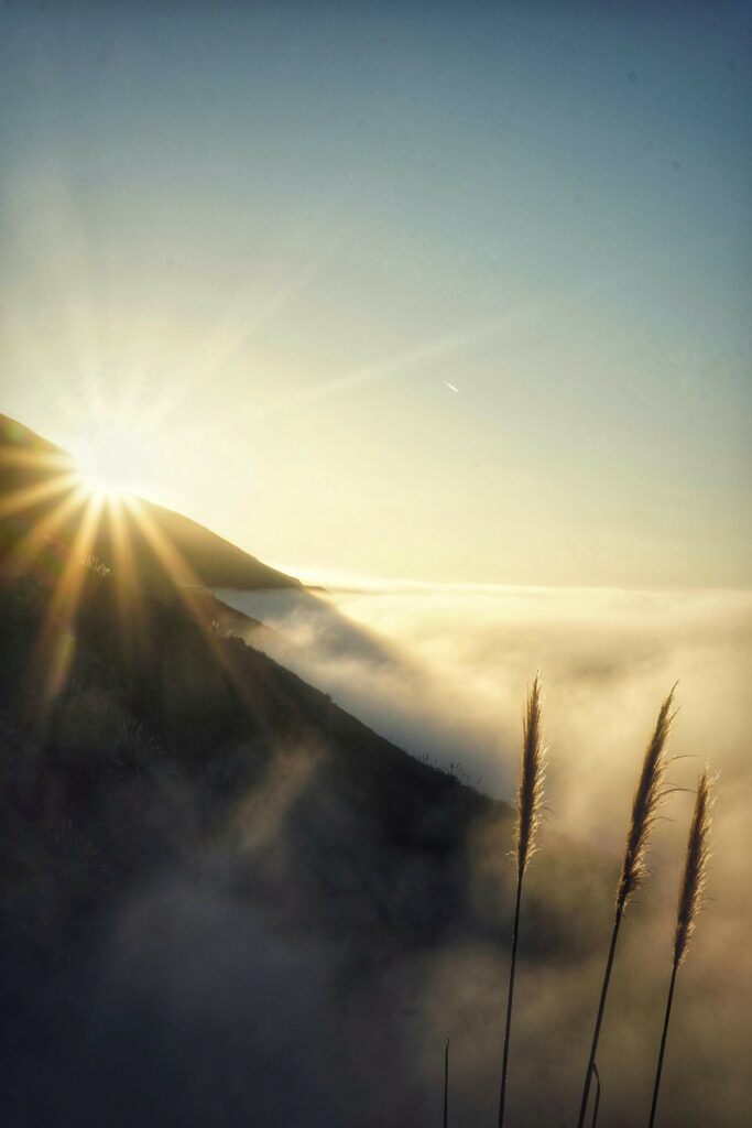 Serene mountain landscape with morning sun rays through fog over rolling green hills and tall grass Wallpaper