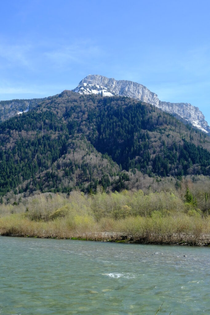 Serene river with lush forested hills and snow-capped mountain under clear blue sky wallpaper