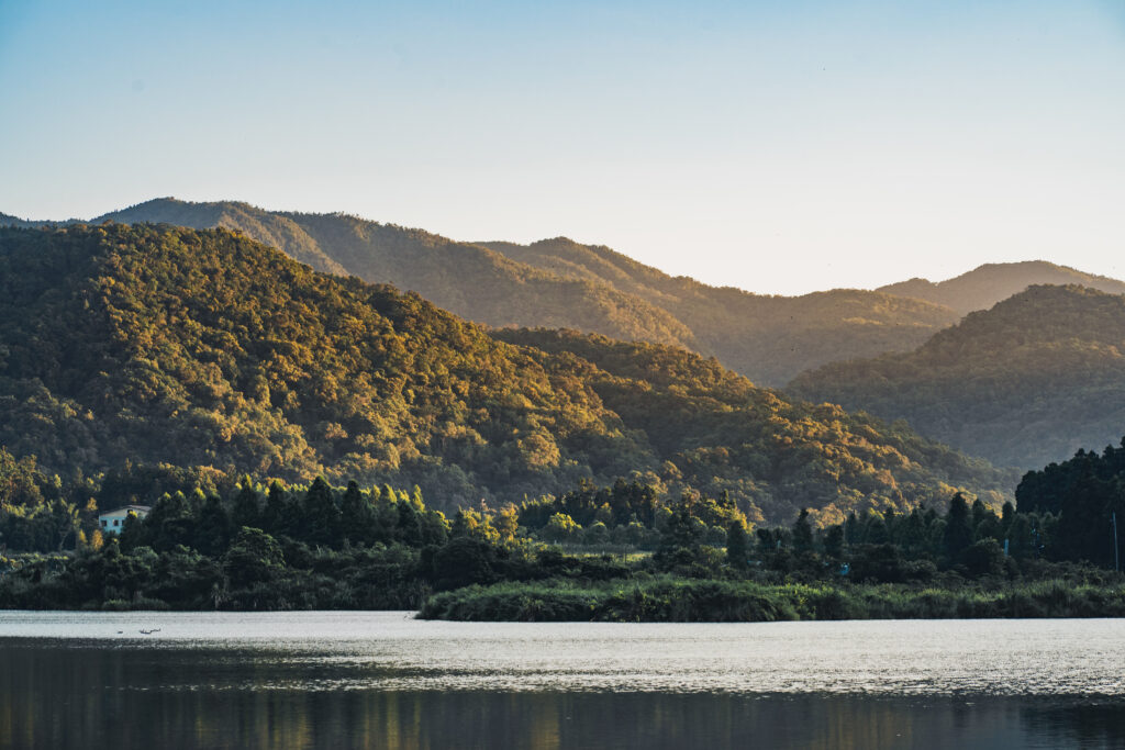 Serene landscape wallpaper with lush mountains dense forest and calm lake reflecting greenery